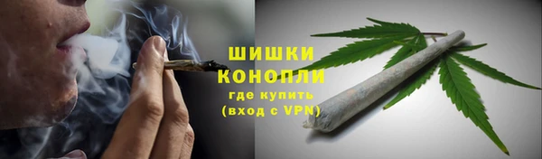 spice Карпинск