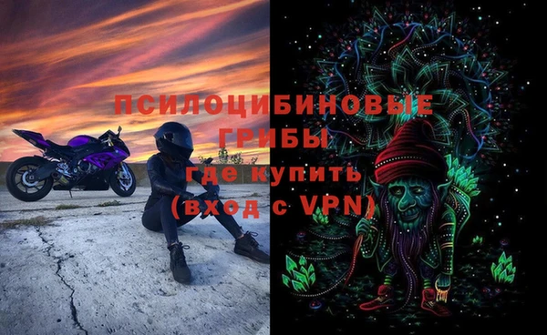 spice Карпинск